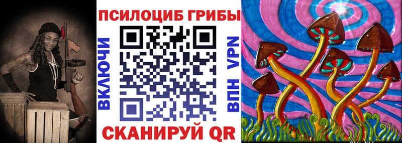Галлюциногенные грибы MAGIC MUSHROOMS  купить  сайты  даркнет состав  Козьмодемьянск 